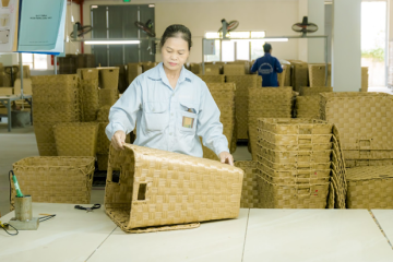 A 27-Year Journey: How Phu Minh Built a Global Rattan & Bamboo Export Empire for Top Retailers?